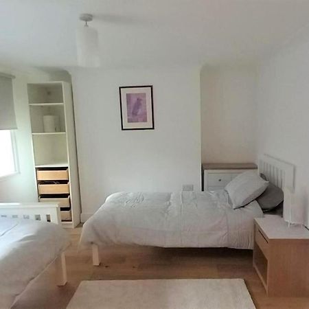 2 Bedroom Victorian Garden Flat London Exterior photo